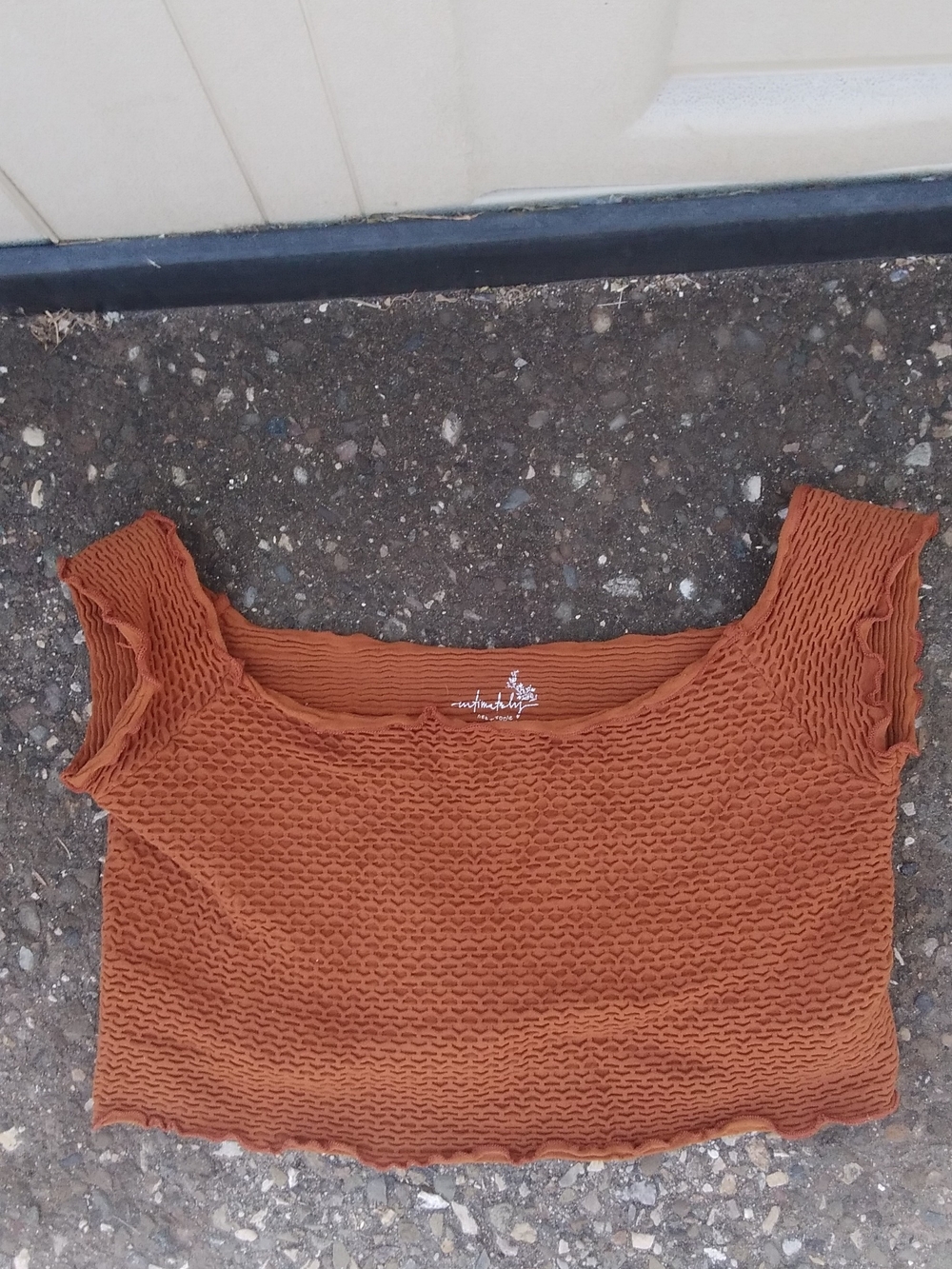 Free People Burnt Orange Textured Short Sleeve Crop Top